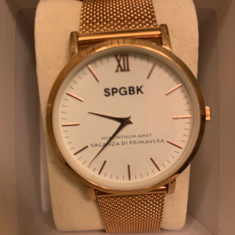 Spring Break Watch  (Rose Gold) unisex